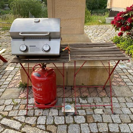 Ferienwohnung Penzlin Im Rittergut Leppersdorf Bei Dresden Wachau Εξωτερικό φωτογραφία